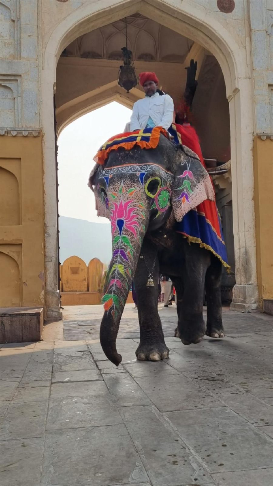 India Karni guests enjoying their journey