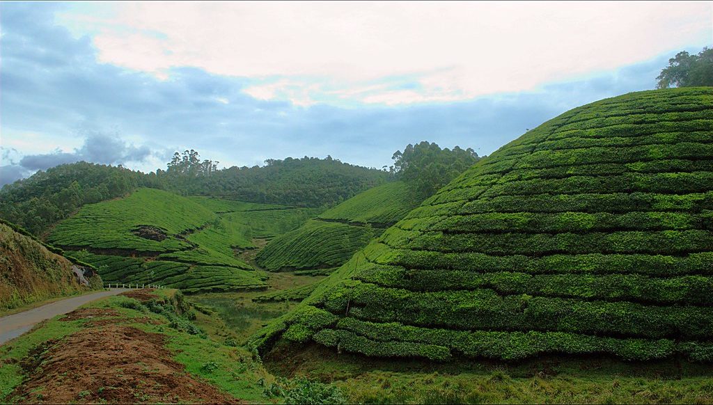 Munnar
