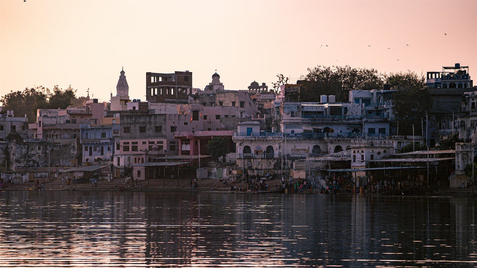 Head to the Ajmer Sharif en route to Pushkar