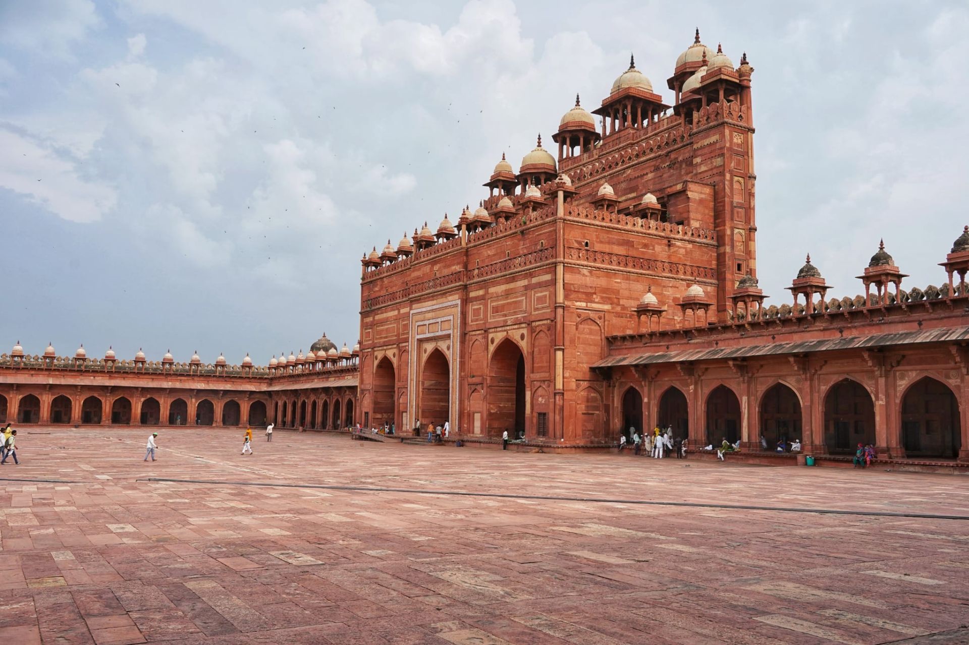 Bid Adieu to the Land of the Taj and head to the Land of the Tigers (Ranthambore National Park)