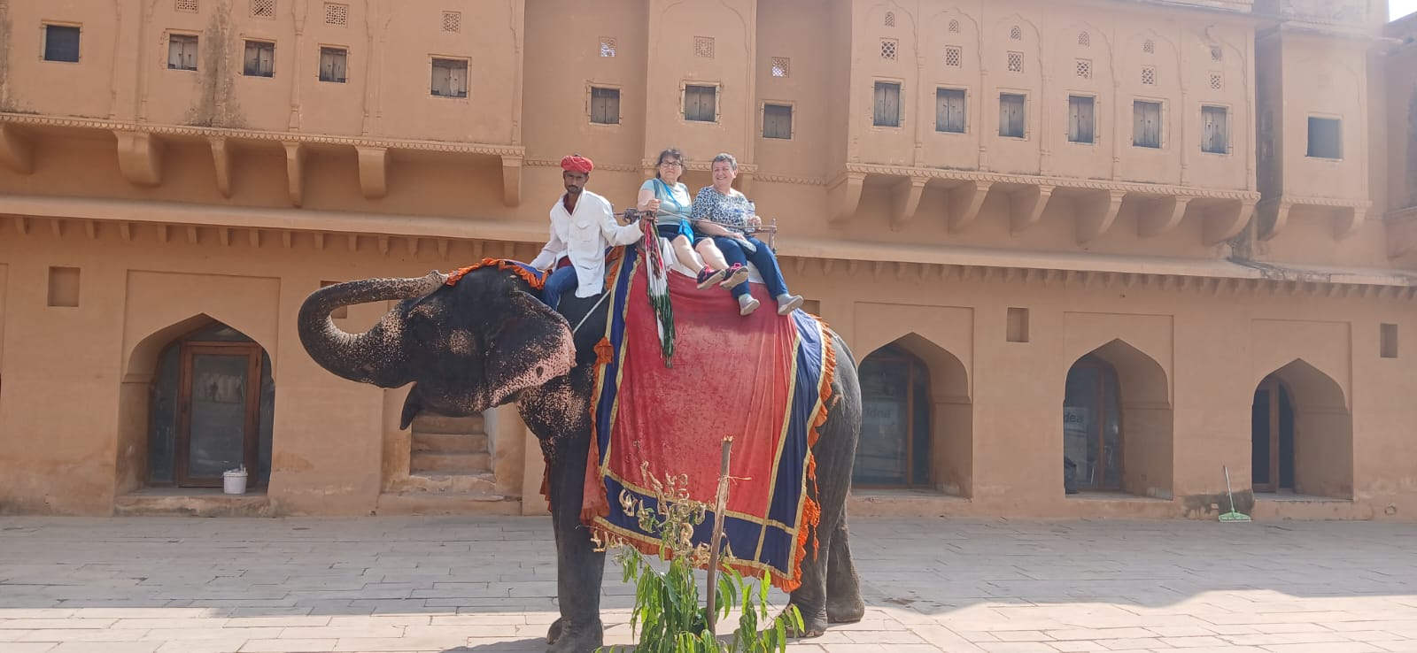 Bid Farewell to captivating India as you head back home