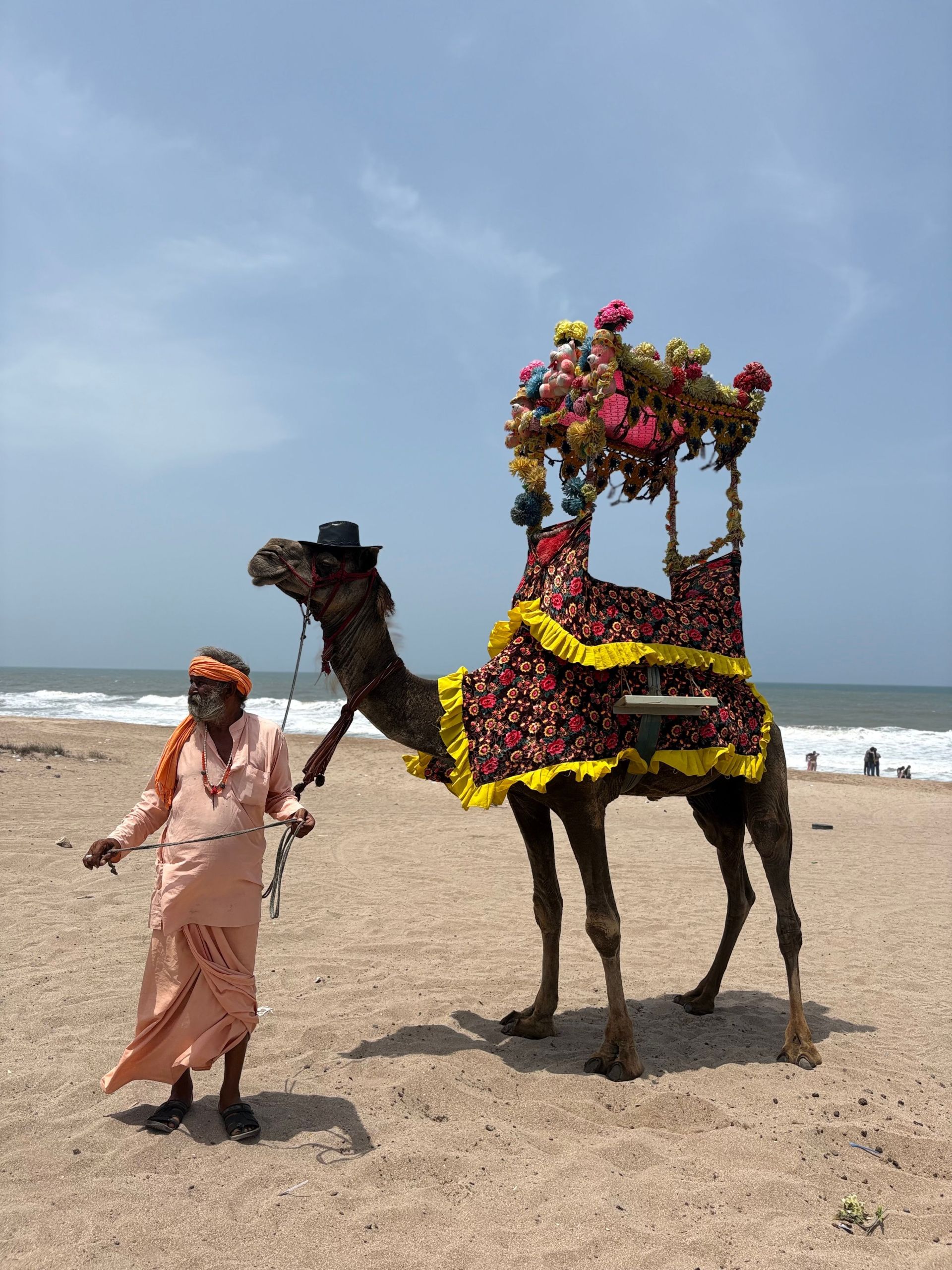 A trip to Mandvi to see Mashru