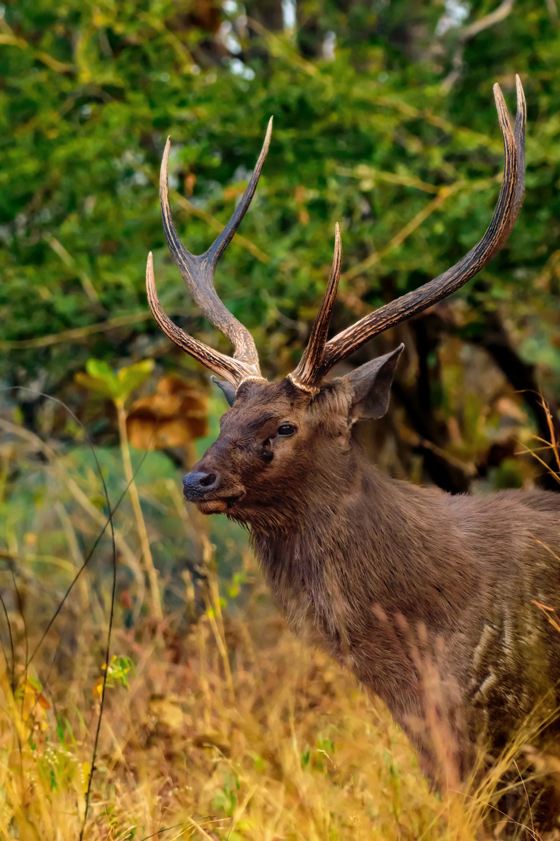 Panna National Park