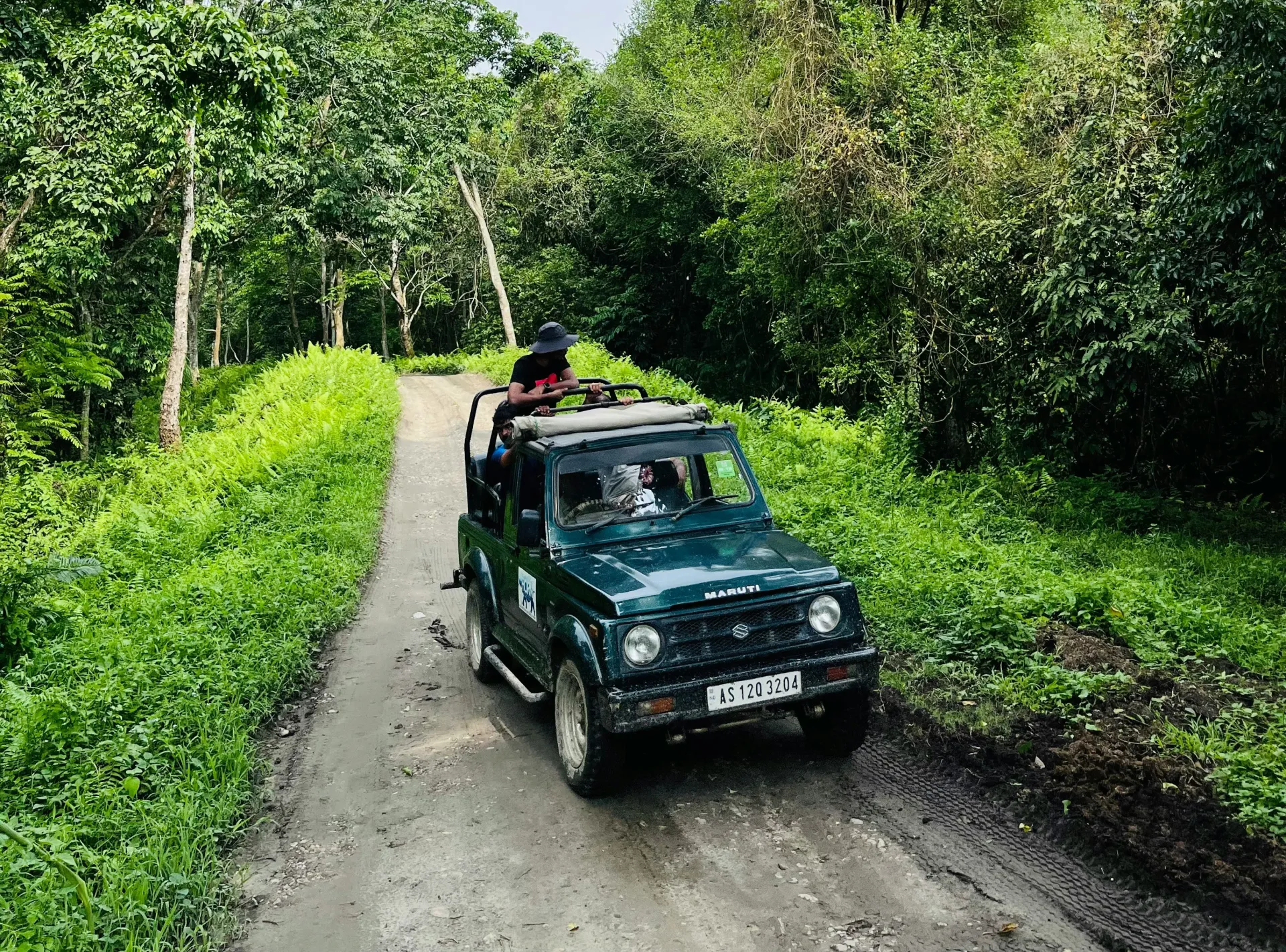 Sariska National Park