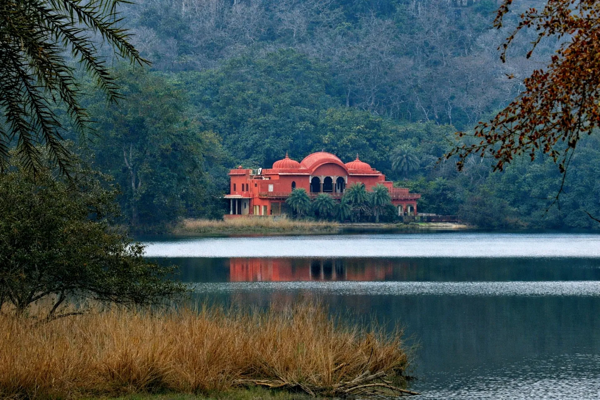 India’s enamouring – Ranthambhore National Park