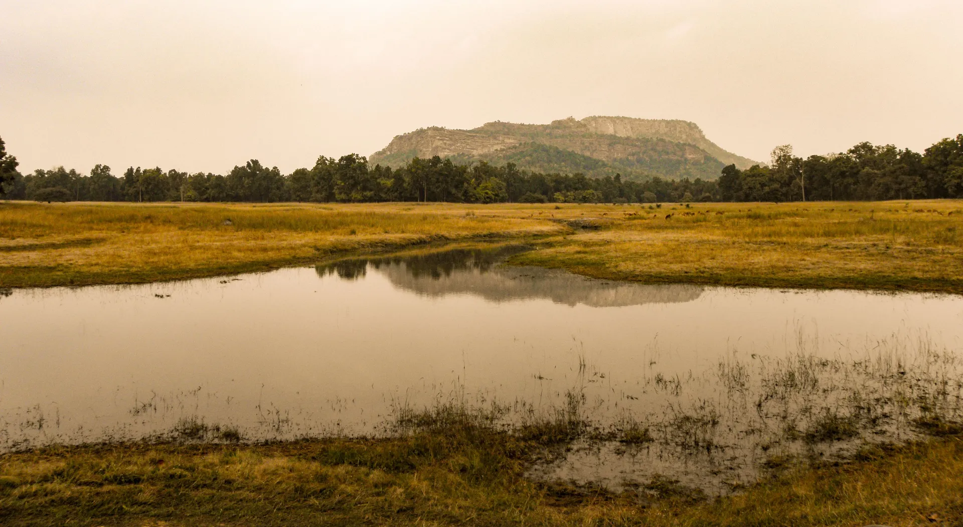 Farewell beautiful Bandhavgarh, as you head to Kanha National Park
