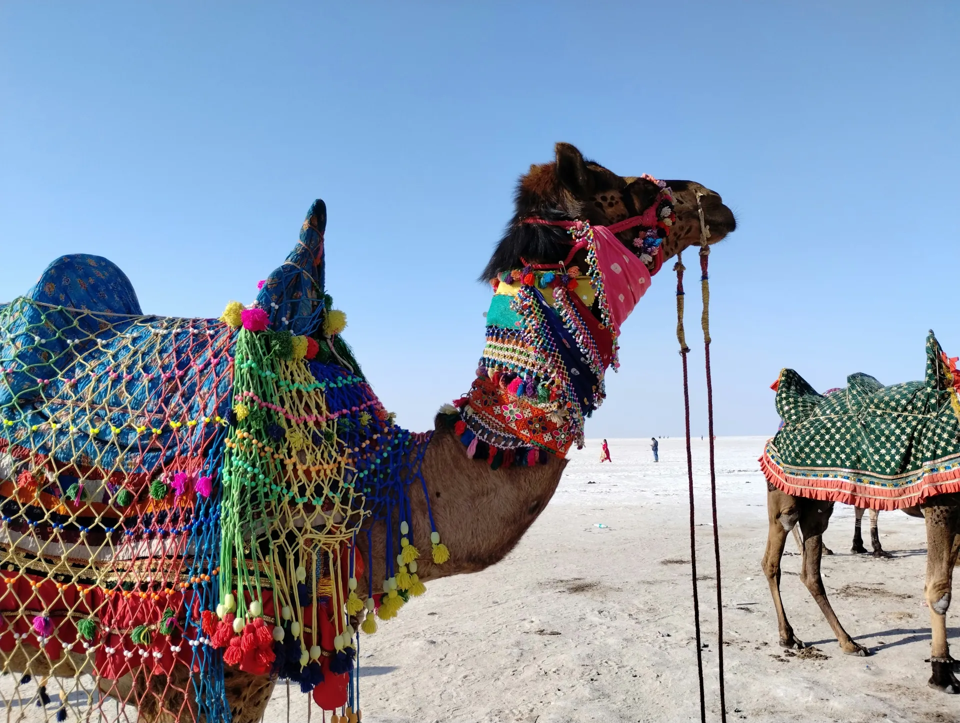 Little Rann of Kutch