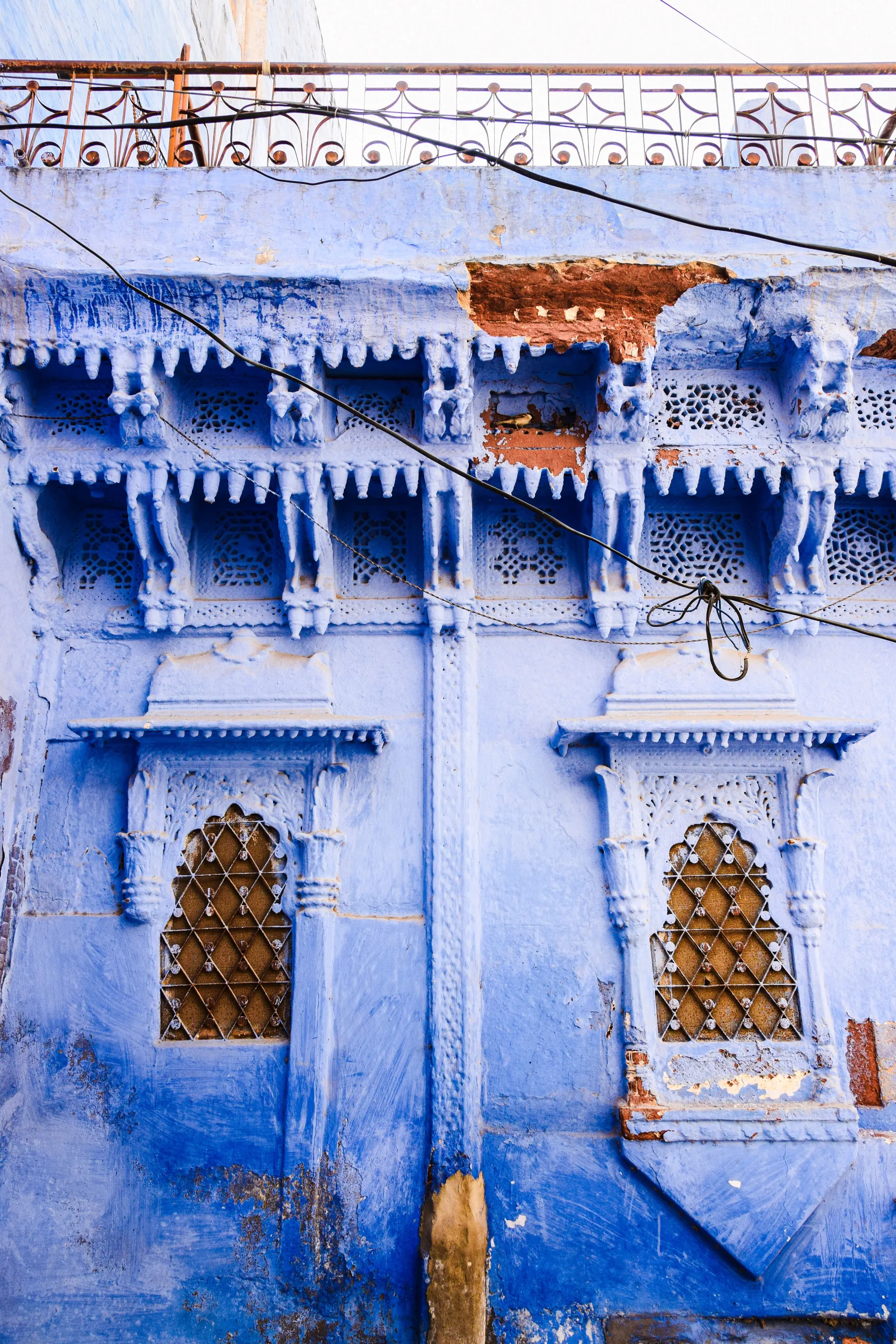 Explore the Blue City and the famous Bishnoi village