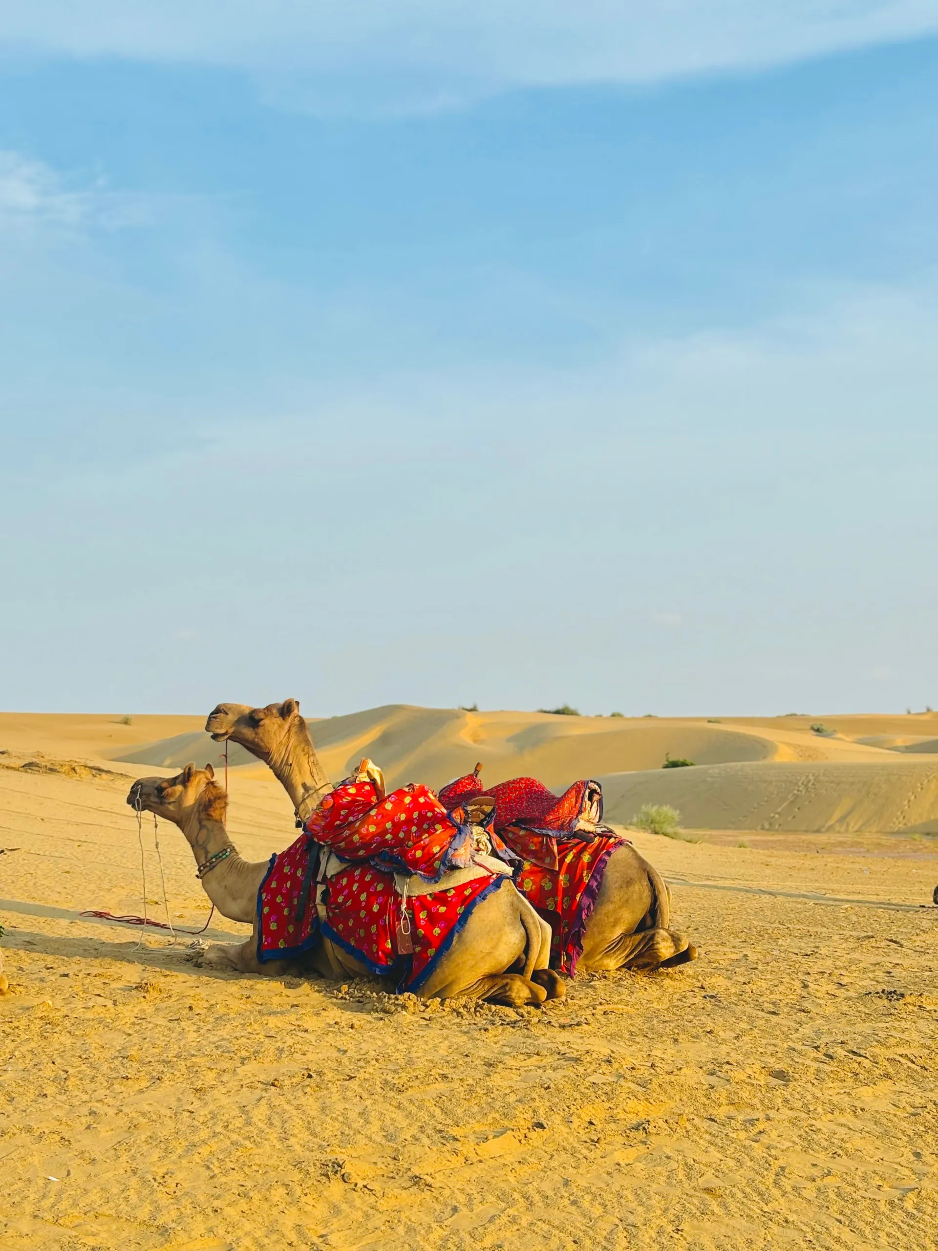 Head towards the Golden City, via Kheechan and Ramdeora