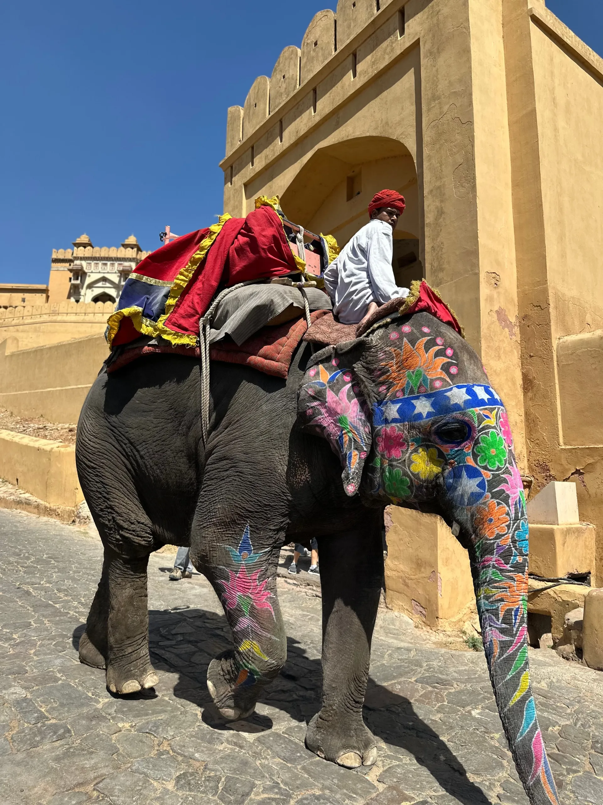Head to the Pink City, Jaipur, via Ajmer