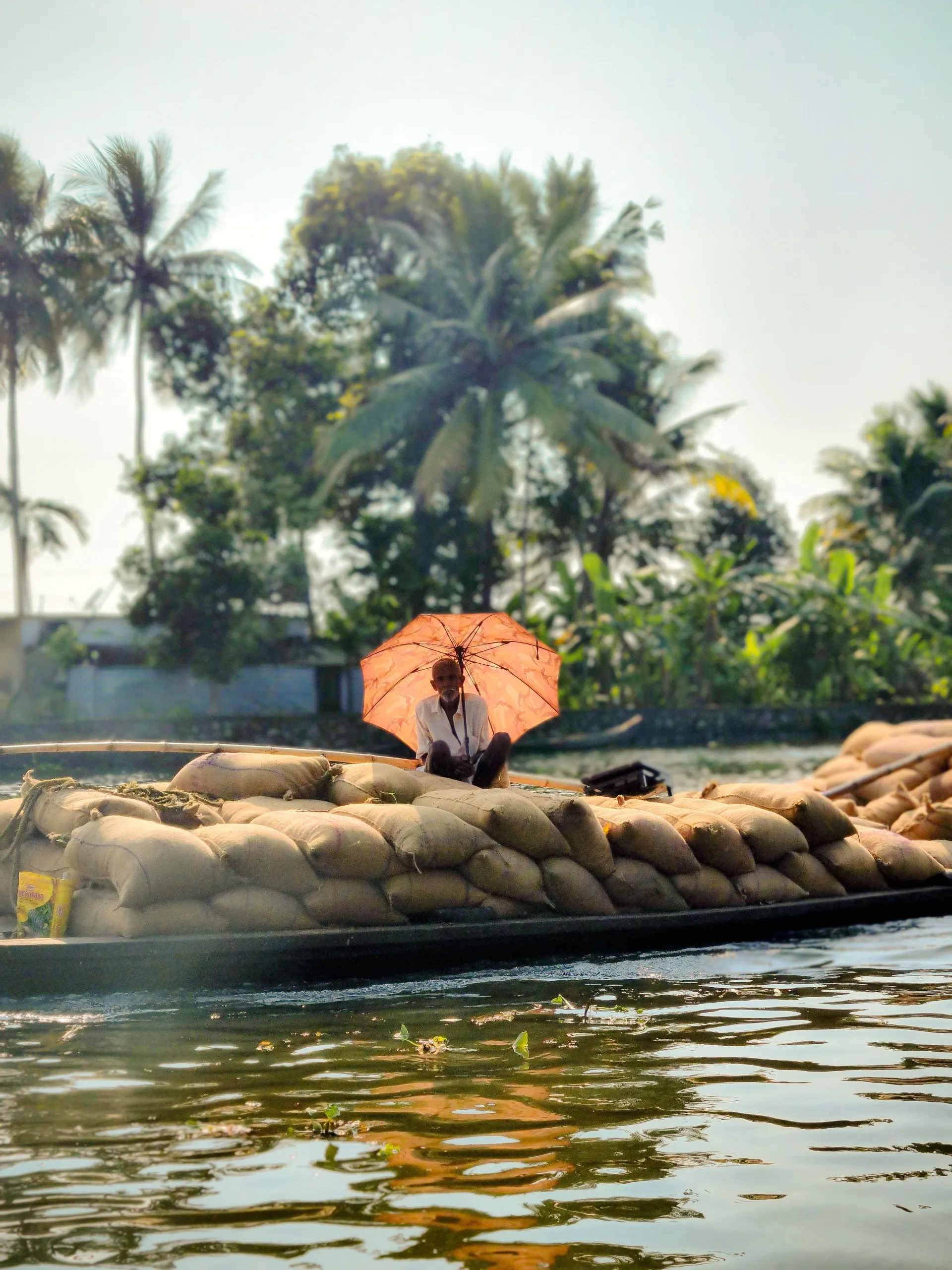 Cochin / Alleppey - 70 kms (1.5 hrs drive)