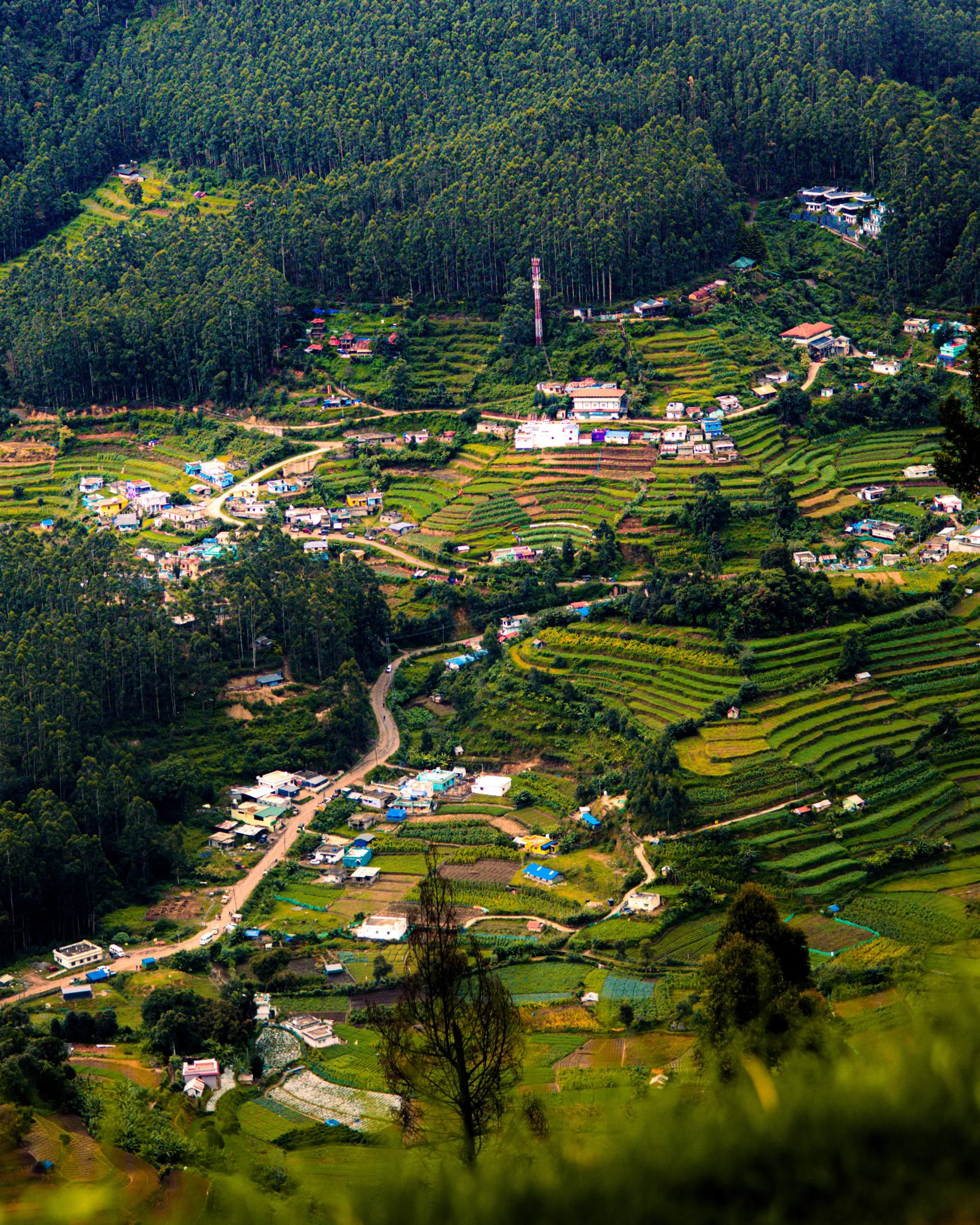 Munnar / Ooty –