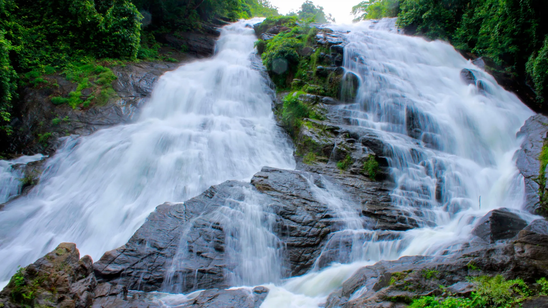 Cochin / Munnar