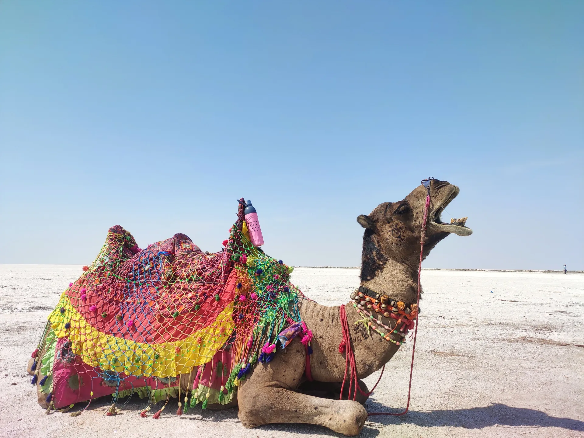 Dhordo – the captivating White Desert