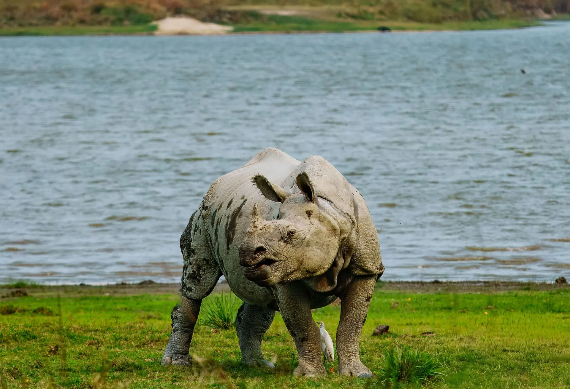 Kaziranga National Park
